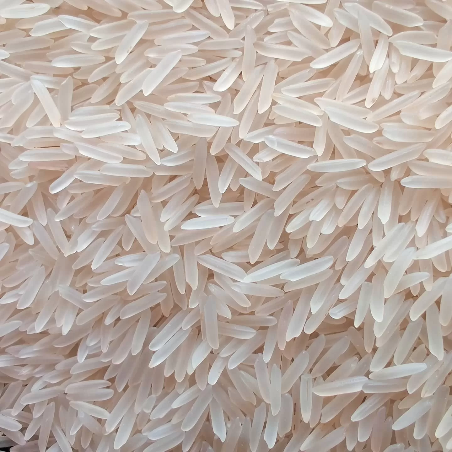 Sugandha Sella Rice